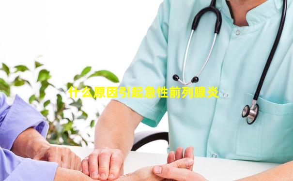 什么原因引起急性前列腺炎