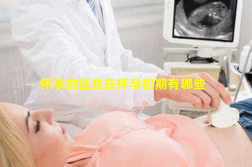 怀孕的征兆在怀孕初期有哪些