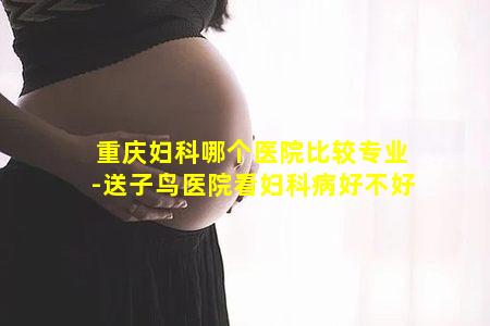 重庆妇科哪个医院比较专业-送子鸟医院看妇科病好不好