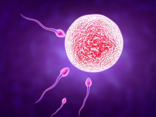 精子报告中精子浓度低于1500万/ml会不育吗？