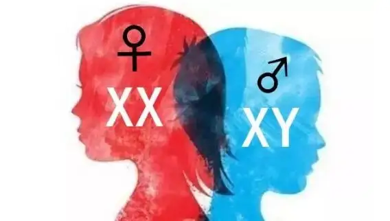xy染色体是男是女，XXY呢，是男还是女