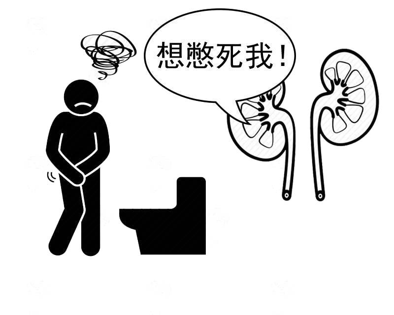 憋尿可能引发不孕不育？经常憋尿，身上的尿最终回到哪了？