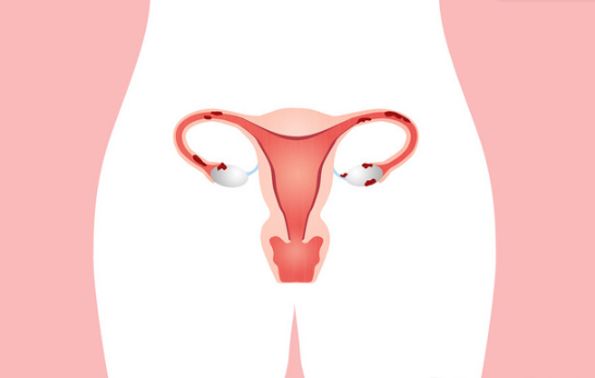 子宫内膜2