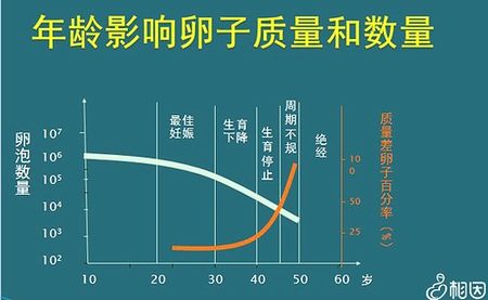 促排卵的中药吃了有没有副作用，打完促排卵针的副作用是会头晕恶心吗？