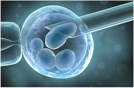 取卵后最快多久可移植冻胚，最快几天可以测出怀孕？