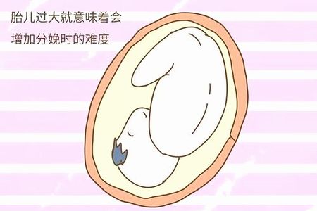 马来西亚怎么冻卵价格