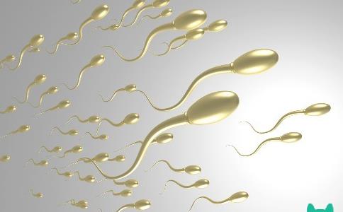 在精子库购买申请精子详细流程及费用全面分享