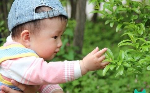 胚胎移植后成功的征兆有哪些？这5个信号一发出，就要恭喜了