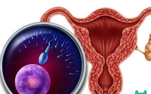 子宫内膜薄能怀孕吗？