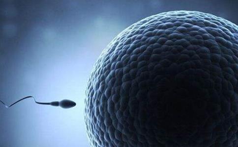 2023在丹麦精子库cryos买精子可以配送到哪里？