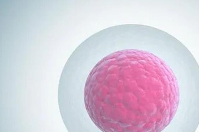 四川私立助孕机构盘点公开，附2023卵巢早衰助孕生子条件
