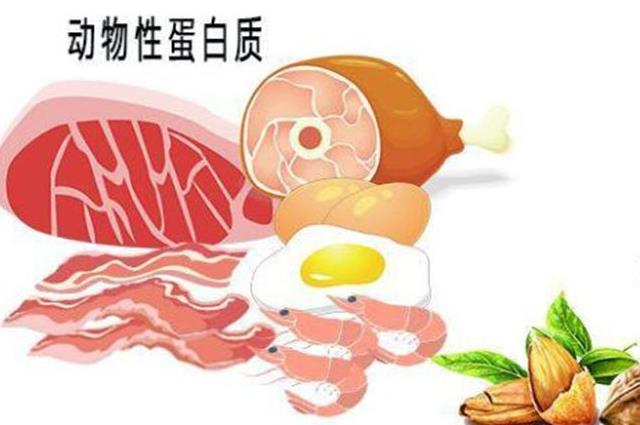 吃什么补蛋白质最快最好？这份优质蛋白食物清单请收好