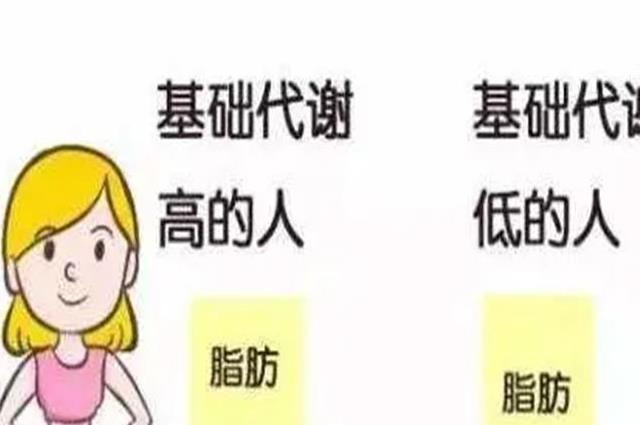 盘点女生基础代谢低的表现，快来看看你是不是易胖体质