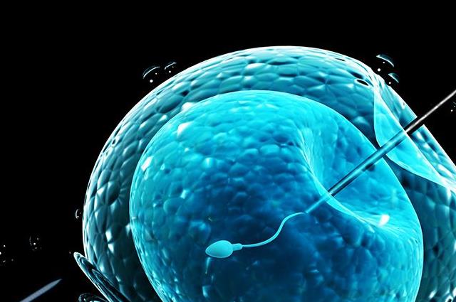 50岁绝经10年还可以进行冻胚移植吗？专家的解释让人眼前一亮