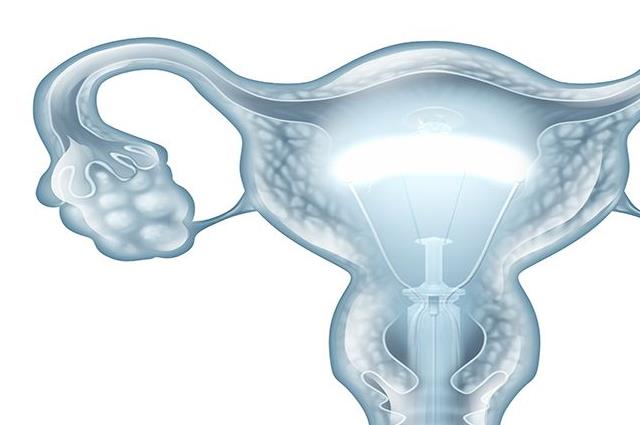 关于中医如何应对薄型子宫内膜的那些事之病因问题