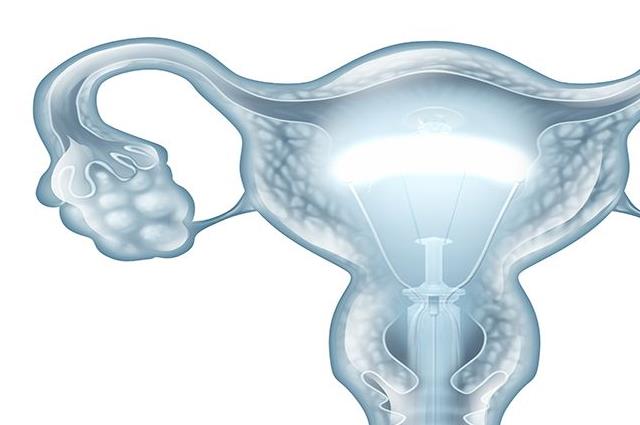 近期公开：子宫内膜只有6mm能自然怀孕吗？借助这项技术才可以