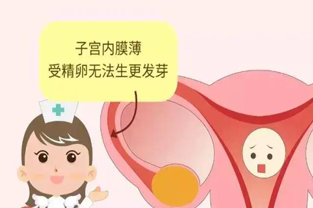 子宫内膜薄只有6mm能怀孕吗？说出来你都不一定会信