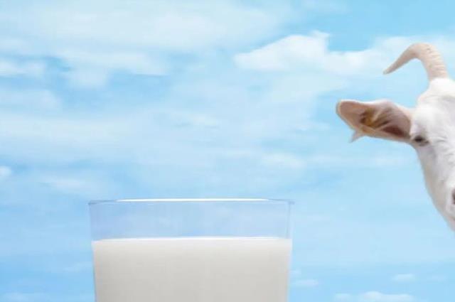 2022口碑最好的国产羊奶粉，国产品牌羊奶粉排行榜发布