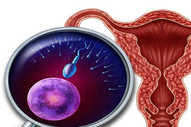 排卵期出血同房会孩是谣言-建议科学备孕