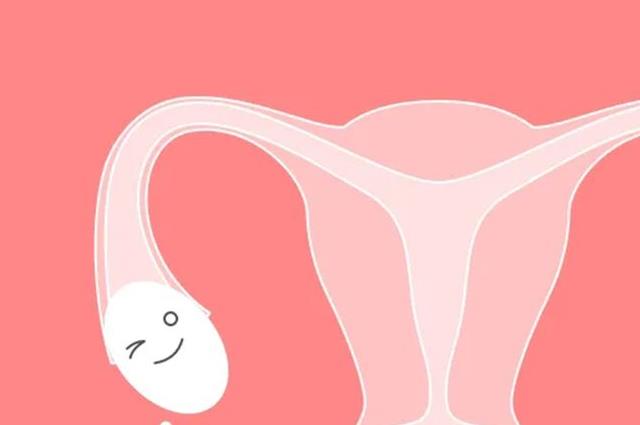 特别关注！30岁卵巢功能下降能怀孕吗？做好这些照样好孕