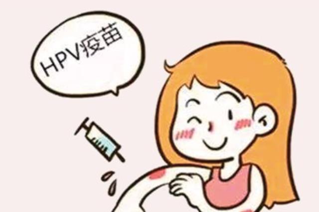 接种hpv疫苗 (3).png
