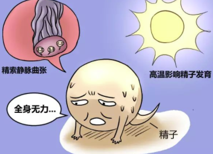 男人无精子是怎么回事