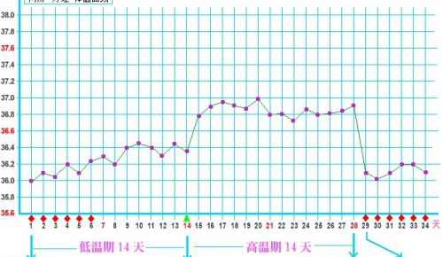 备孕可不是“玄学”，学会这6招能提高怀孕成功率