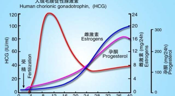 移植第18天hcg0.8，生化和未着床区别是什么？