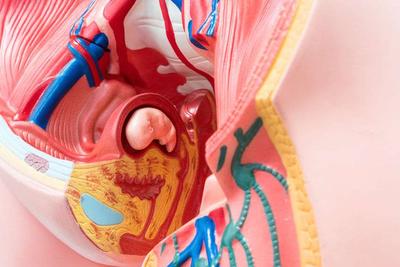 重庆医院卵巢癌转移到肝脏靶向药物有效吗