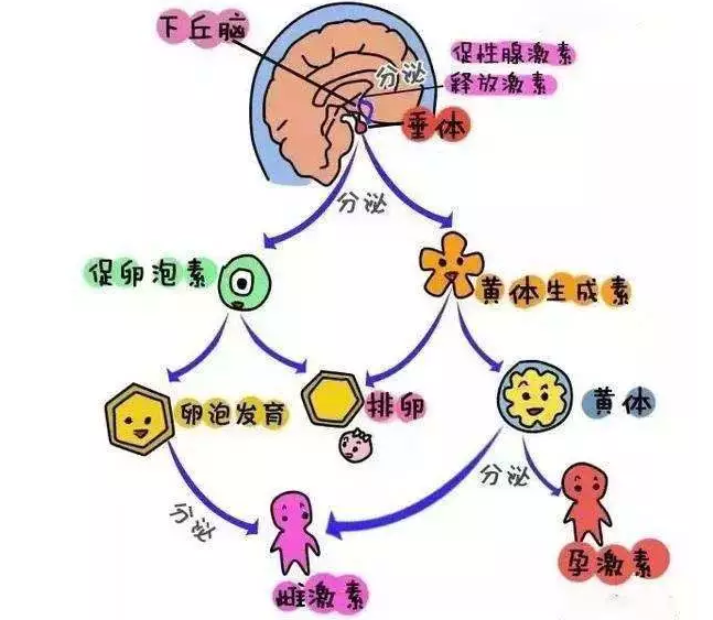 重庆送子鸟医院