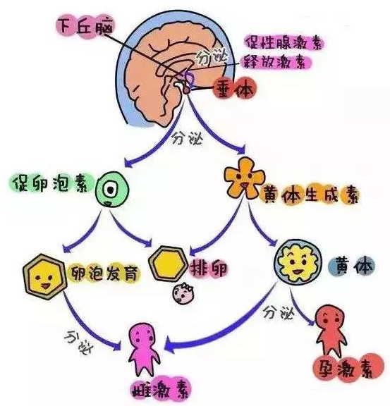 重庆送子鸟医院