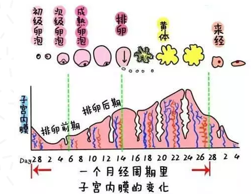 重庆送子鸟医院